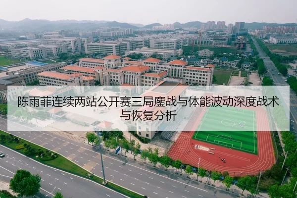 陈雨菲连续两站公开赛三局鏖战与体能波动深度战术与恢复分析